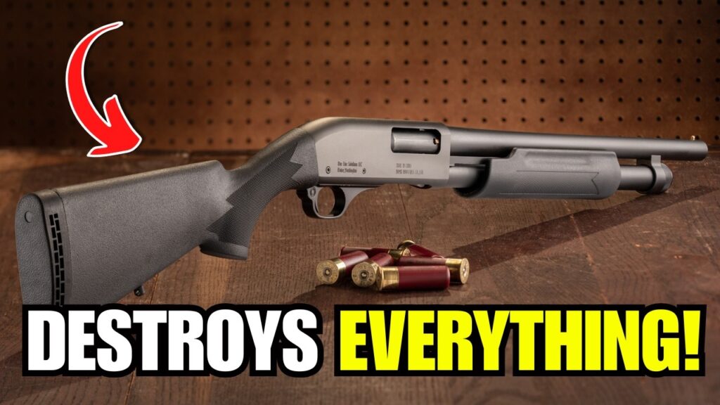 Why 12 Gauge Is the MOST POWERFUL Round in America (Nothing Comes Close)