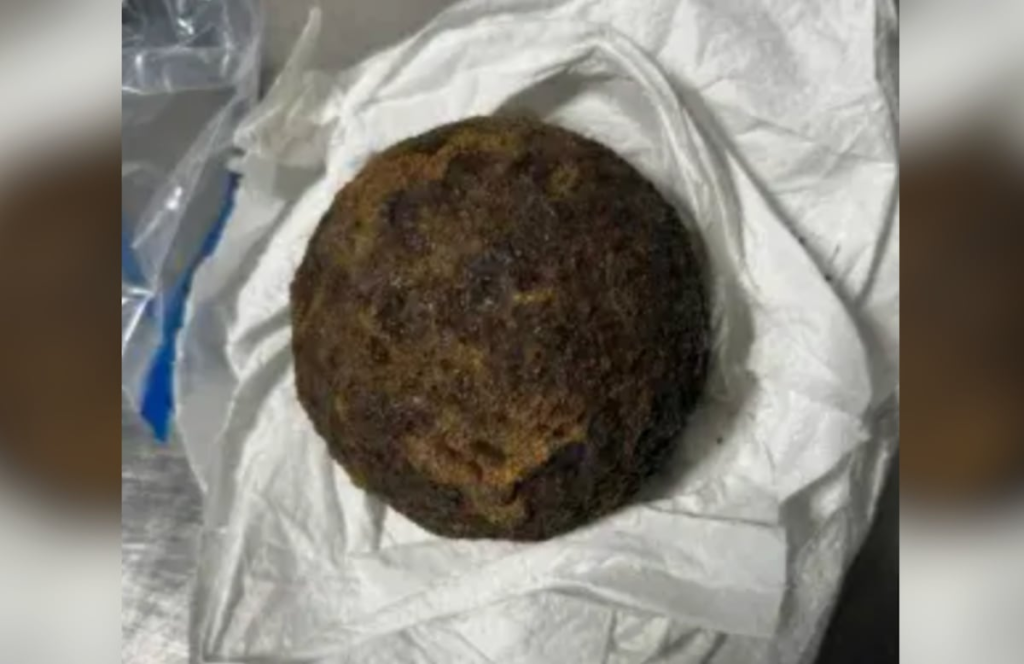 TSA stops Alabama traveler for Civil War-era cannonballs in luggage TSA stops Alabama traveler for Civil War-era cannonballs in luggage