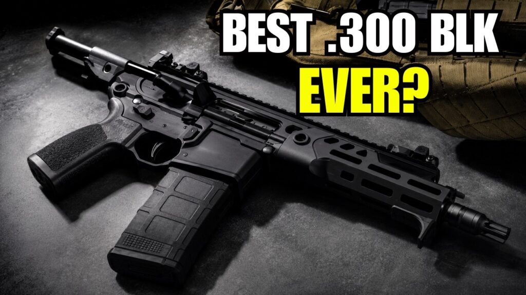 Sig Sauer Rattler LT Review: Is This The Best .300 Blackout Rifle?