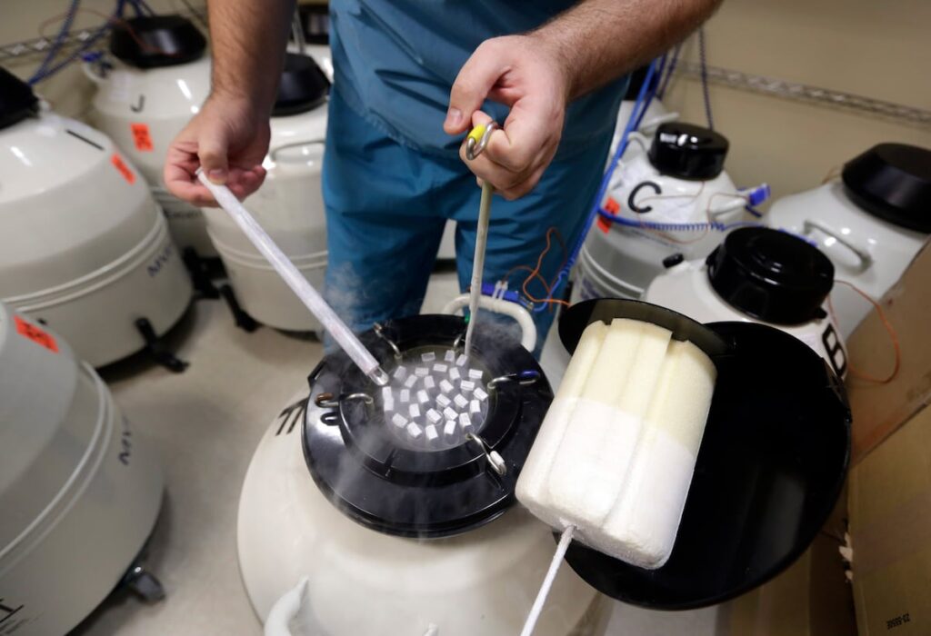 DoD to launch pilot for some service members to freeze sperm, eggs